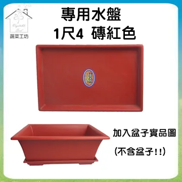 【4尺寸】蔬菜家族玩偶 紅蘿蔔 茄子 玉米 兒童禮物 聖誕節交換禮物【開立發票】  露天市集  全台最大的網路購物市集 歷史價格詳細信息