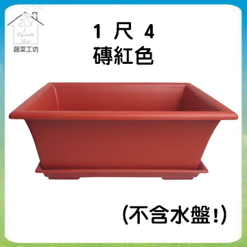 【4尺寸】蔬菜家族玩偶 紅蘿蔔 茄子 玉米 兒童禮物 聖誕節交換禮物【開立發票】  露天市集  全台最大的網路購物市集 歷史價格詳細信息