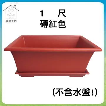 【蔬菜工坊】1尺長槽專用椰纖片 5片/包 歷史價格詳細信息