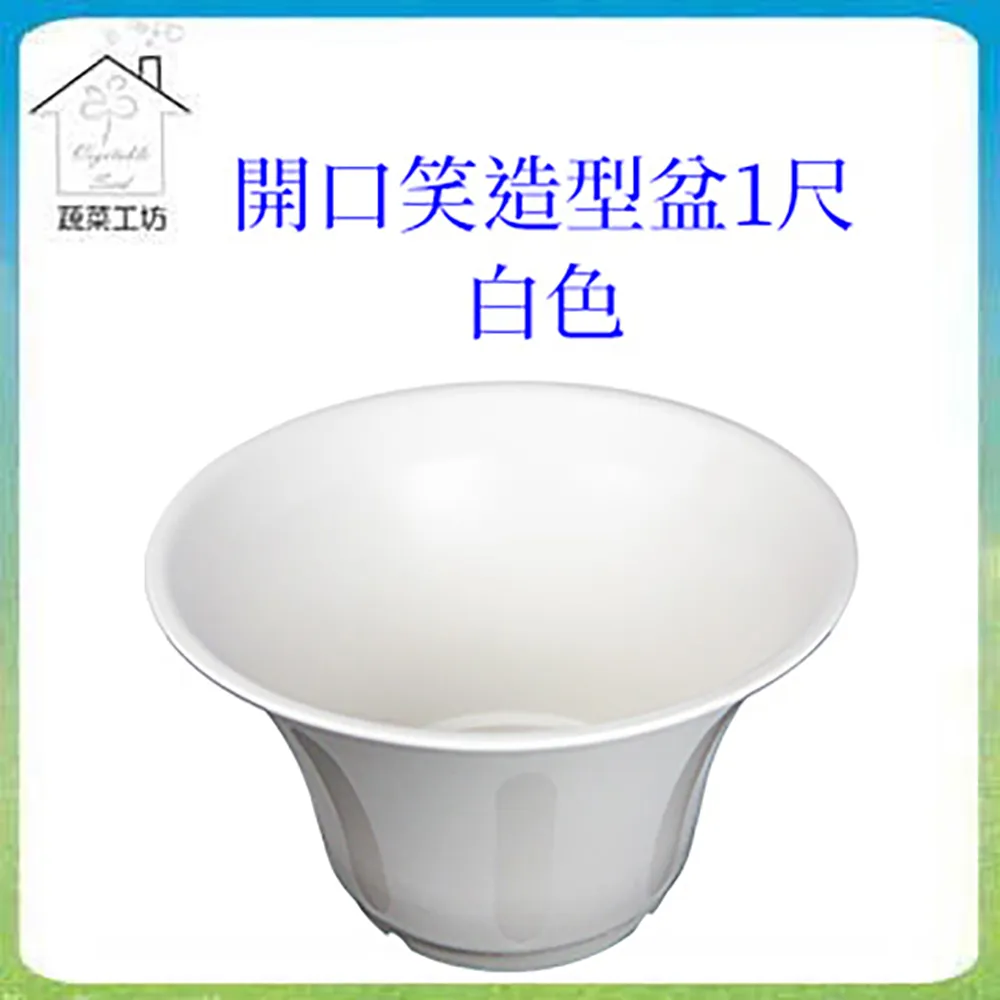 【蔬菜工坊】多肉透氣四方矮盆4吋(矮) (透明) 10個/組 歷史價格詳細信息