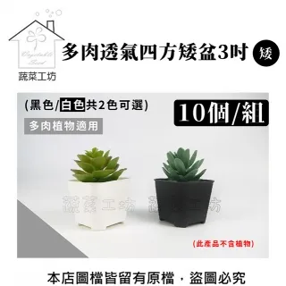 多肉透氣四方矮盆6吋(矮) (黑色.白色) 10個/組 歷史價格詳細信息