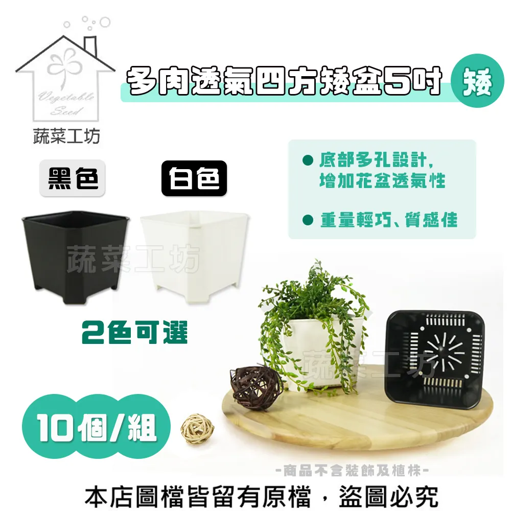 多肉透氣四方矮盆6吋(矮) (黑色.白色) 10個/組 歷史價格詳細信息