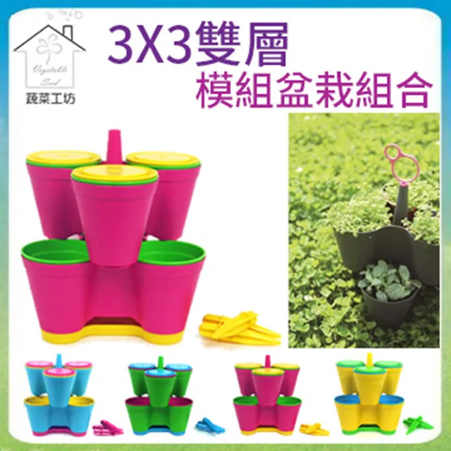 【蔬菜工坊】3.5吋荷蘭盆 10個/組 歷史價格詳細信息