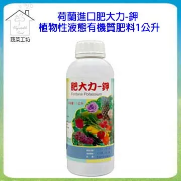 【蔬菜工坊】荷花盆1尺4(無孔) 歷史價格詳細信息