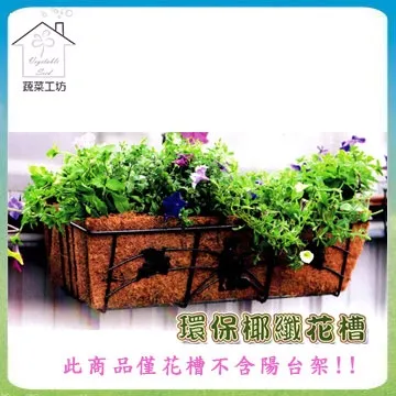 【蔬菜工坊】椰纖棒 50公分(塑膠中柱防霉)攀爬類植物.水苔棒.椰纖柱.椰棒 歷史價格詳細信息