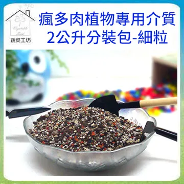 【蔬菜工坊】多肉透氣四方矮盆4吋(矮) (透明) 10個/組 歷史價格詳細信息