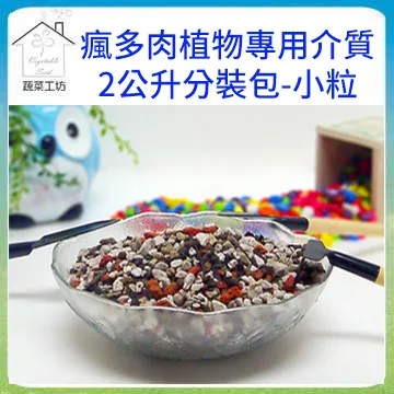 【蔬菜工坊】多肉透氣四方矮盆4吋(矮) (透明) 10個/組 歷史價格詳細信息