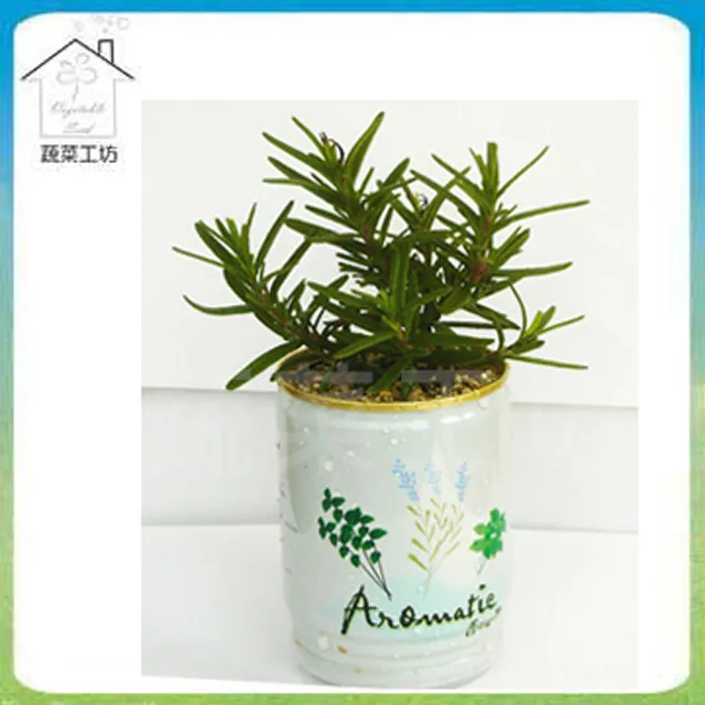 【蔬菜工坊】開口笑多肉專用造型盆1尺-黑色 歷史價格詳細信息