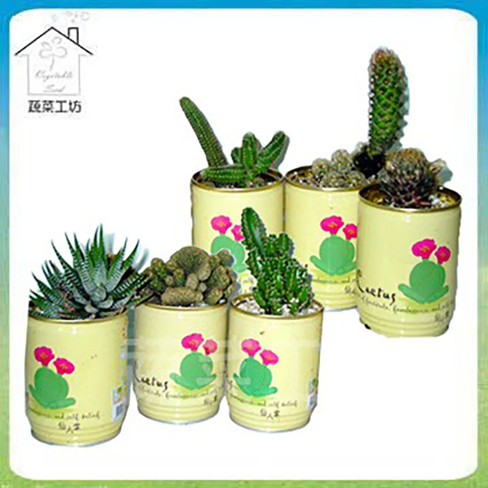 【蔬菜工坊】開口笑多肉專用造型盆1尺-黑色 歷史價格詳細信息