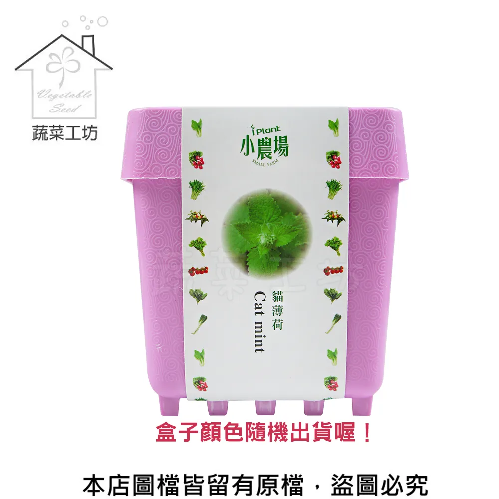 IPLANT小農場 DIY蔬果盆栽 積木植栽 花卉 / 蔬果 / 香料 療癒植栽 【久大文具】 歷史價格詳細信息
