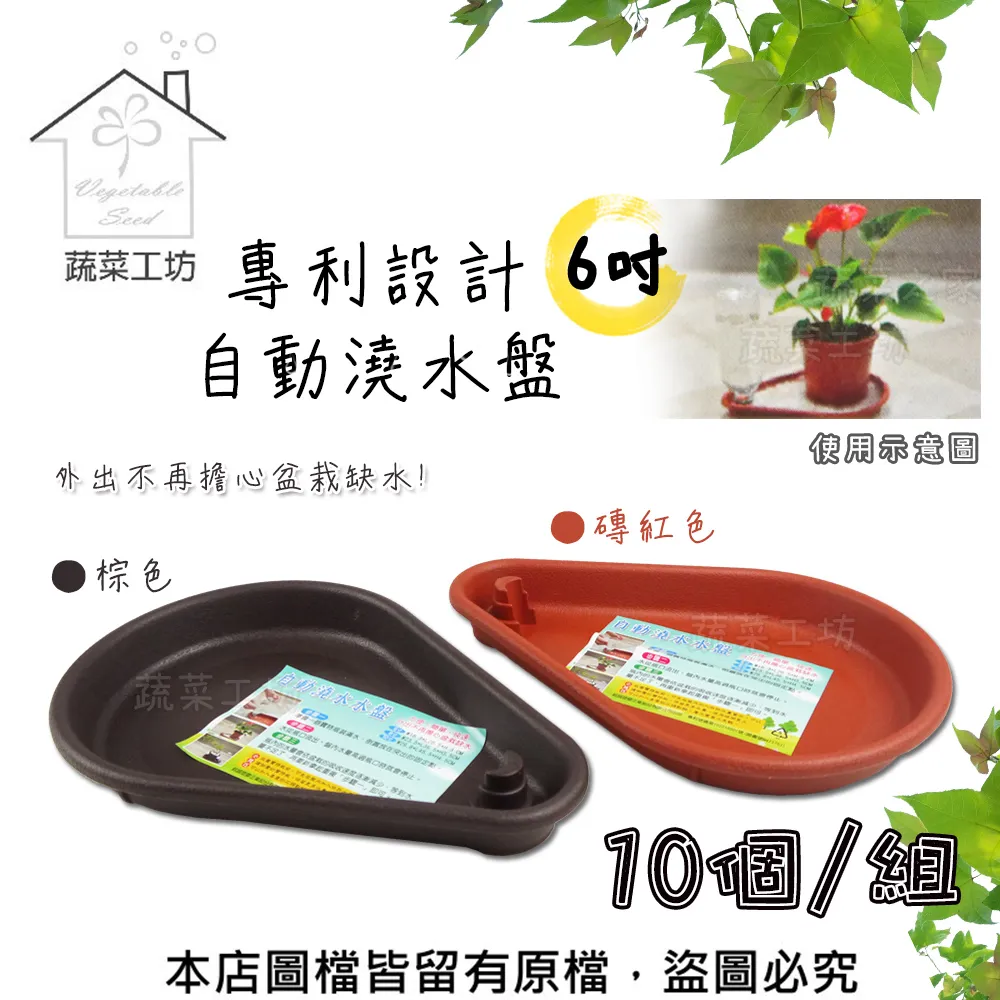 專利設計自動澆水盤6吋(磚紅色、棕色共兩色)10個/組 價格比較,價格查詢,歷史價格詳細信息