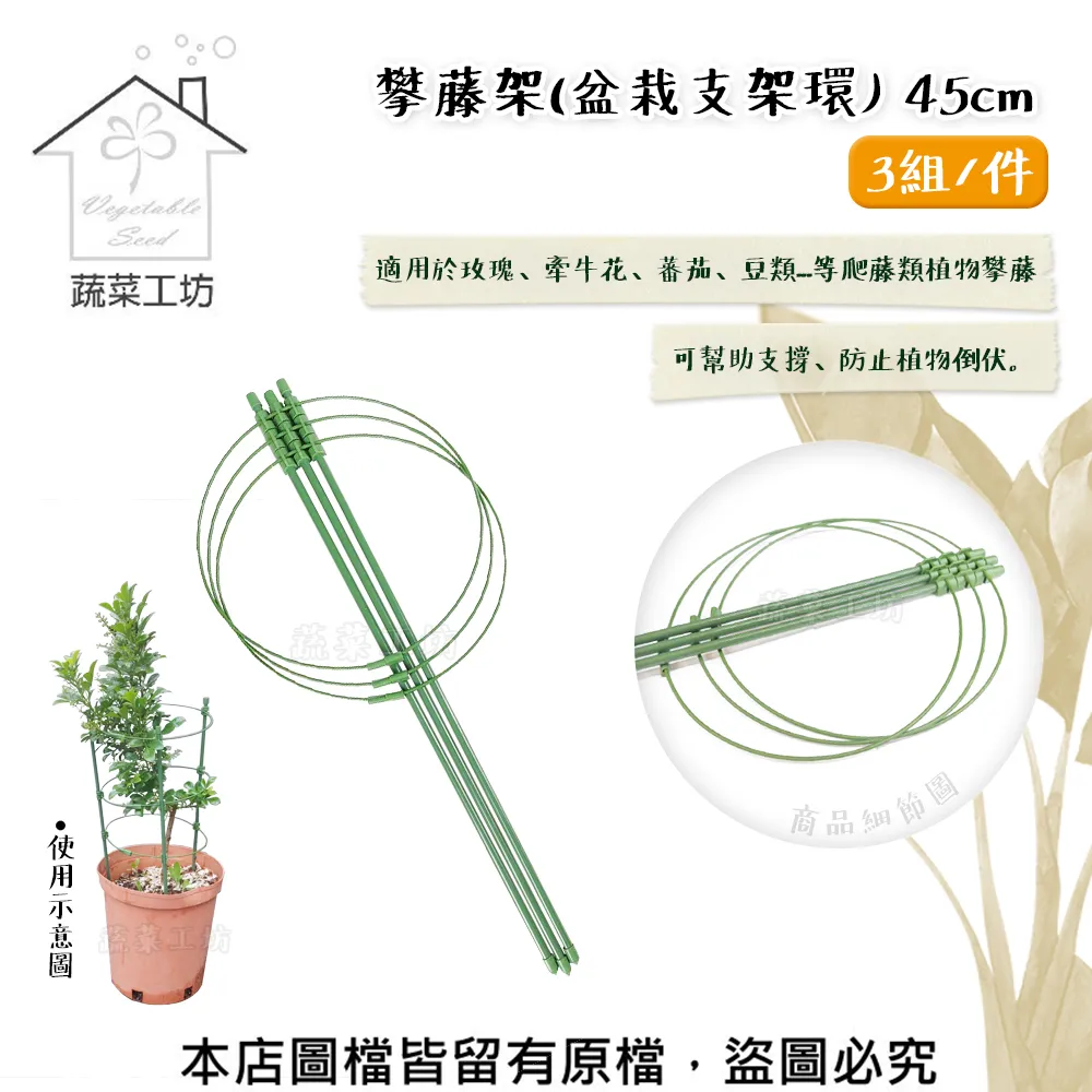 【蔬菜工坊】園藝爬藤網6尺X6吋 菱格網目.攀藤網.栽培網.園藝網.植栽網.絲瓜網.菜瓜網(越南製) 歷史價格詳細信息
