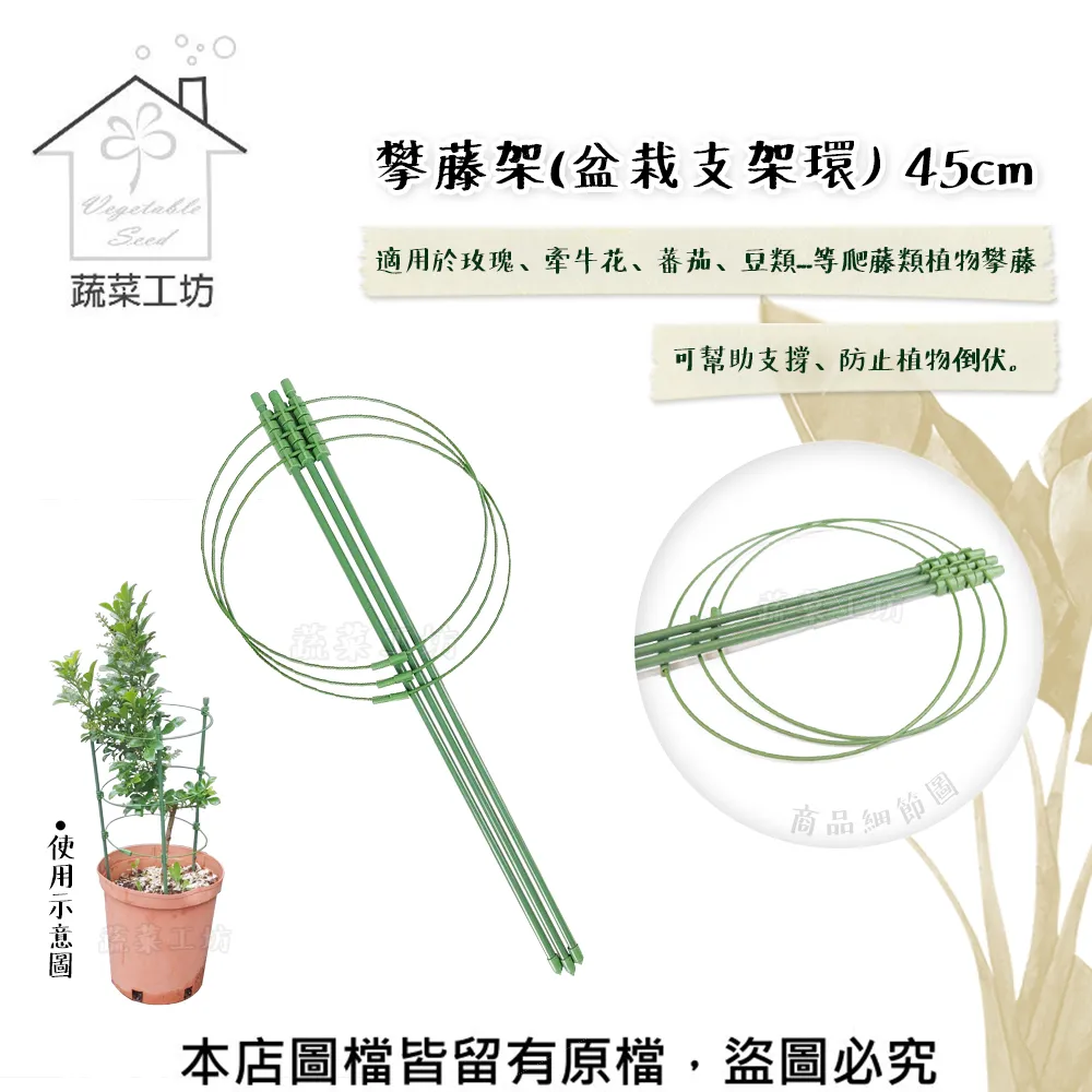 【蔬菜工坊】園藝爬藤網6尺X6吋 菱格網目.攀藤網.栽培網.園藝網.植栽網.絲瓜網.菜瓜網(越南製) 歷史價格詳細信息