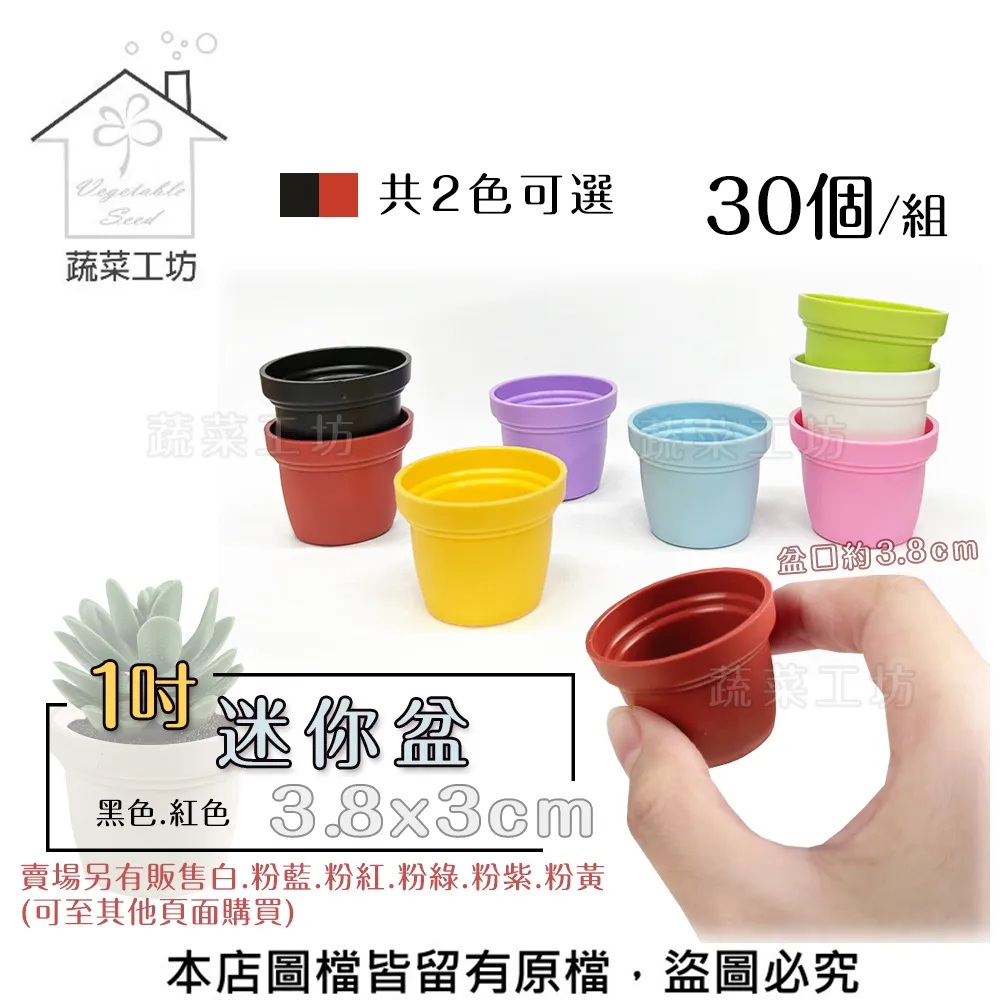 【蔬菜工坊】30公分圓形自動澆水花盆(含底盤) 歷史價格詳細信息