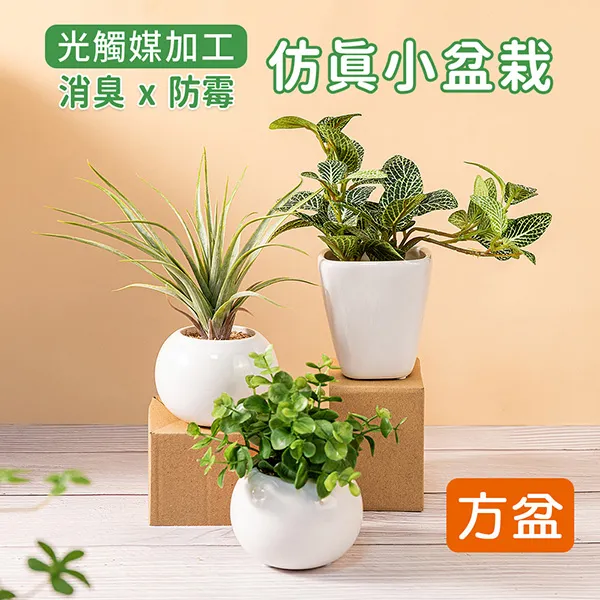 仿真花植物盆景婚慶裝飾品INS風仿真植物牆花牆假花玫瑰花 人造花  高品質假花仿真花擺設絹花裝飾客廳~優品百貨 歷史價格詳細信息