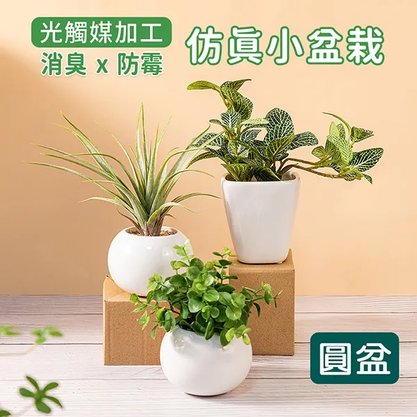 仿真花植物盆景婚慶裝飾品INS風仿真植物牆花牆假花玫瑰花 人造花  高品質假花仿真花擺設絹花裝飾客廳~優品百貨 歷史價格詳細信息