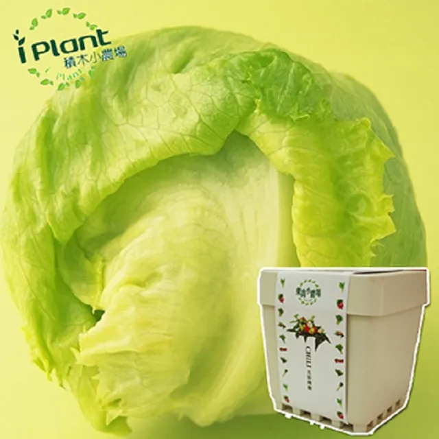 【iPlant】積木小農場-冰花菜(內含種子培養土肥料花盆) 歷史價格詳細信息