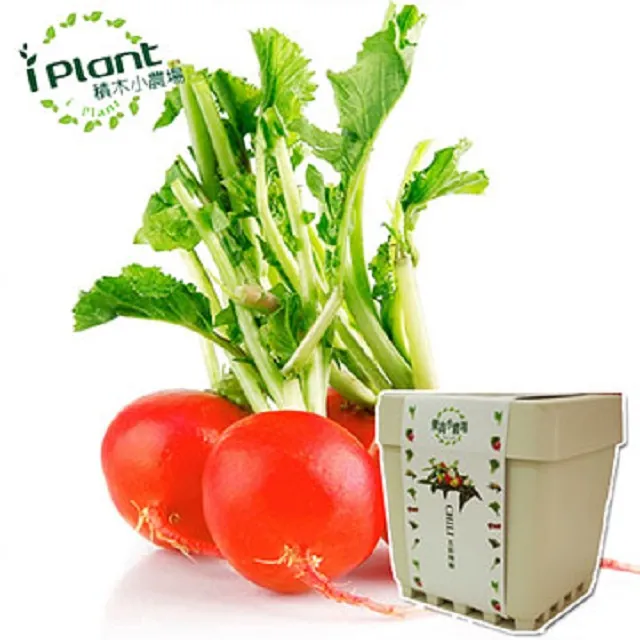 【iPlant】積木小農場-冰花菜(內含種子培養土肥料花盆) 歷史價格詳細信息