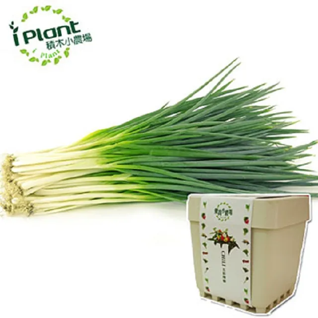 蔥木小眾時髦質感牛皮大包包2022新款大容量通勤寬肩帶斜挎包女包 歷史價格詳細信息