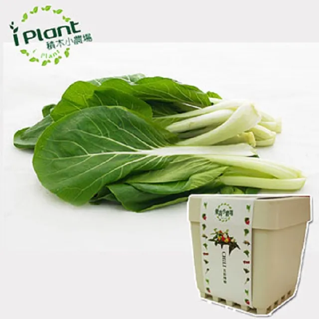 【iPlant】積木小農場 - 小白菜 歷史價格詳細信息