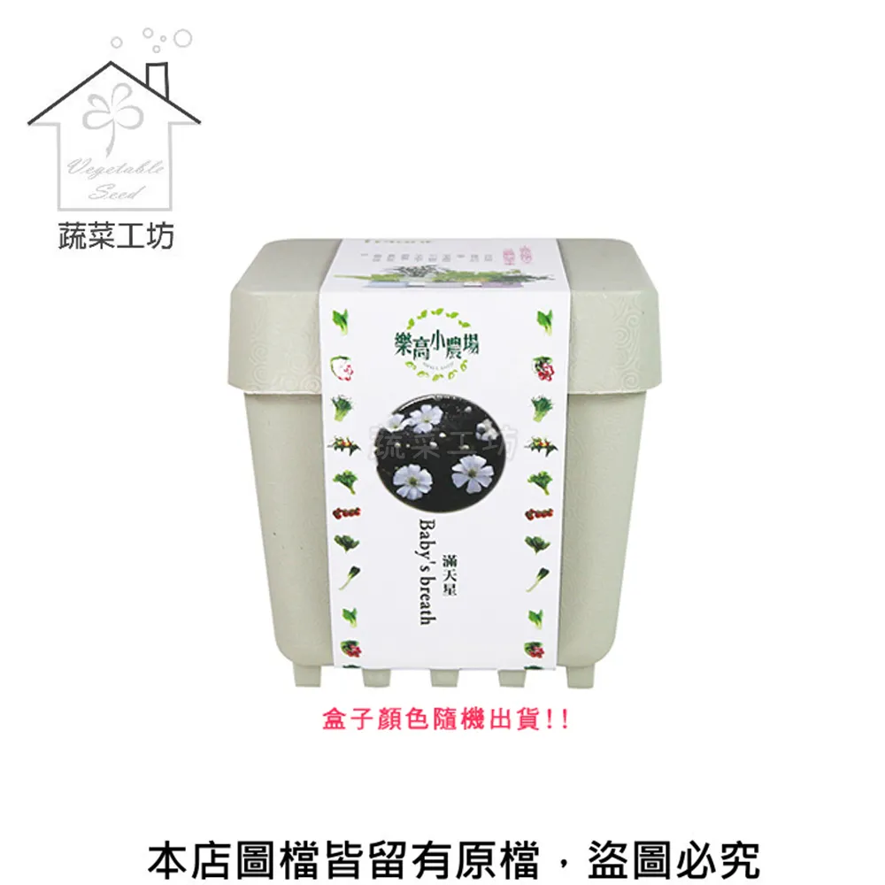 【小天下】蔬菜學校1：想要紅的小番茄 歷史價格詳細信息