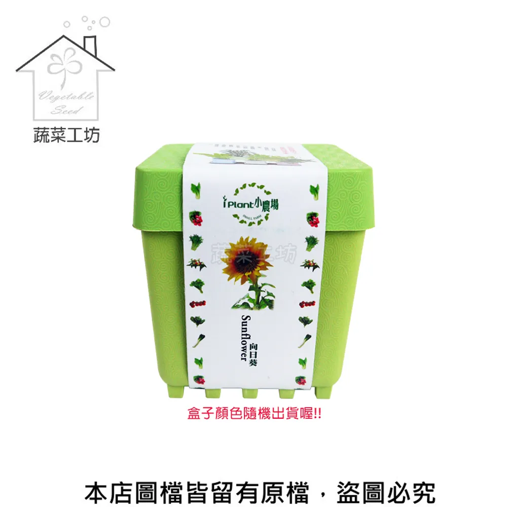 IPLANT小農場 DIY蔬果盆栽 積木植栽 花卉 / 蔬果 / 香料 療癒植栽 【久大文具】 歷史價格詳細信息