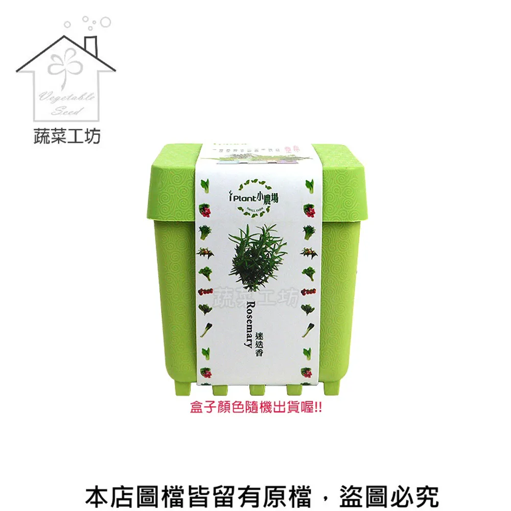 IPLANT小農場 DIY蔬果盆栽 積木植栽 花卉 / 蔬果 / 香料 療癒植栽 【久大文具】 歷史價格詳細信息