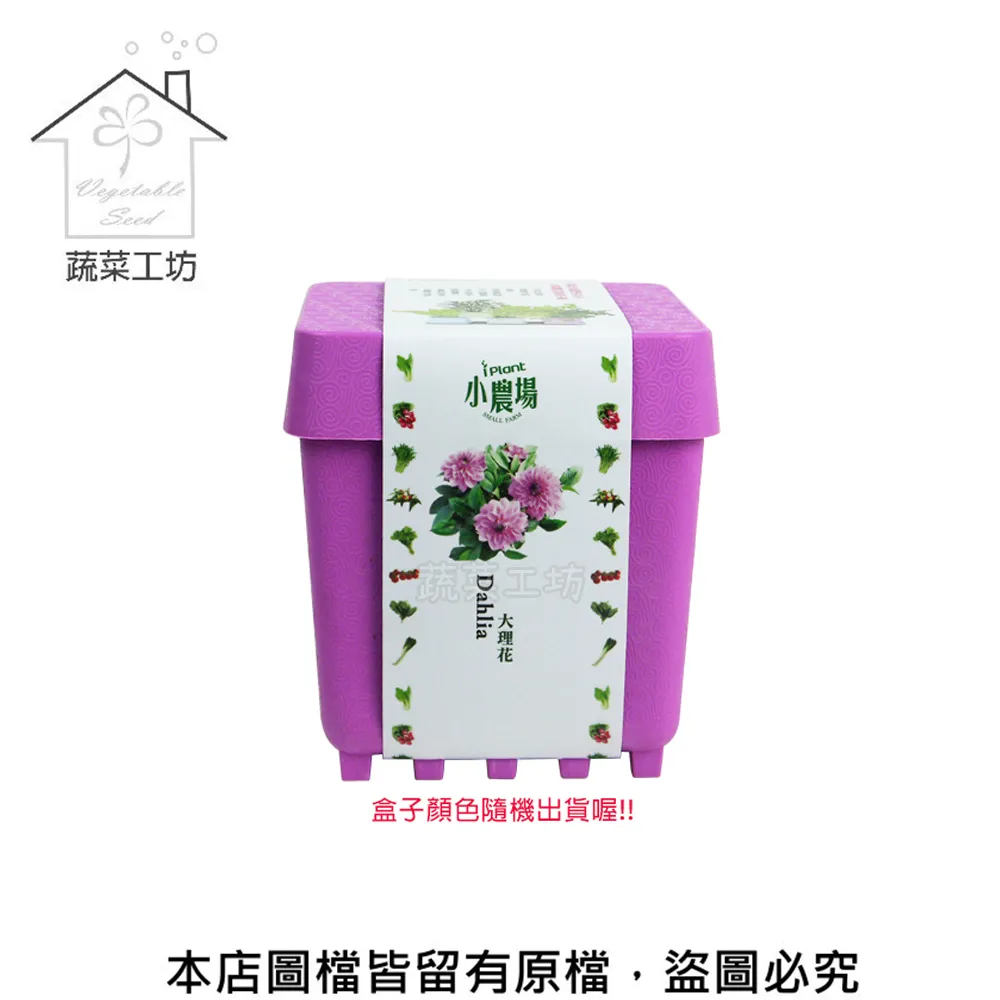 IPLANT小農場 DIY蔬果盆栽 積木植栽 花卉 / 蔬果 / 香料 療癒植栽 【久大文具】 歷史價格詳細信息