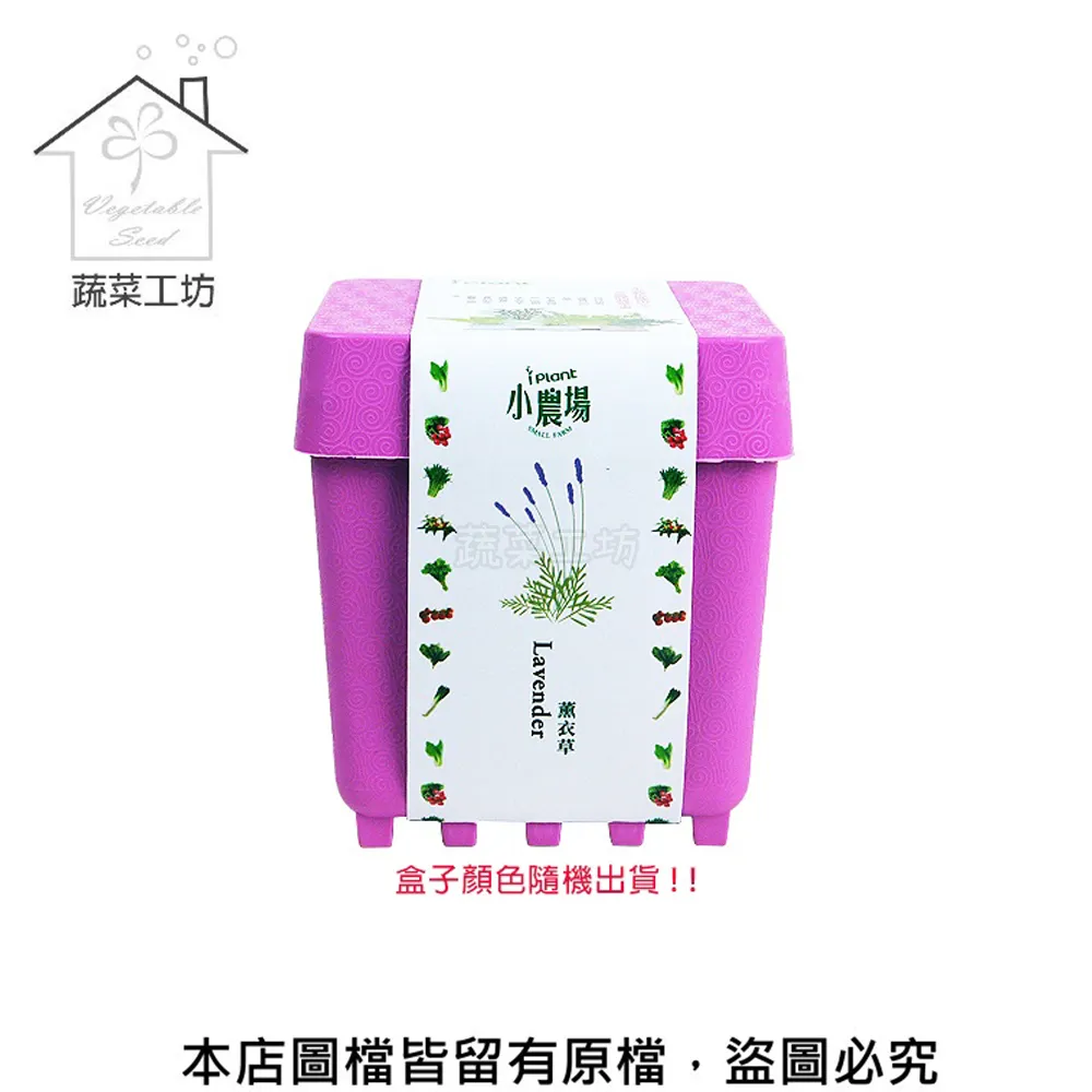 IPLANT小農場 DIY蔬果盆栽 積木植栽 花卉 / 蔬果 / 香料 療癒植栽 【久大文具】 歷史價格詳細信息