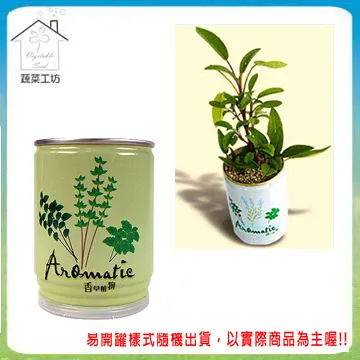 【蔬菜工坊】iPlant易開罐花卉-百里香 歷史價格詳細信息
