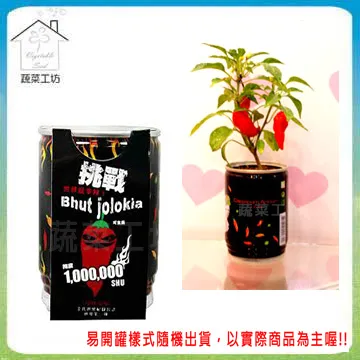 【蔬菜工坊】開口笑多肉專用造型盆1尺-黑色 歷史價格詳細信息