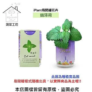 iPlant易開罐花卉-松葉牡丹 歷史價格詳細信息