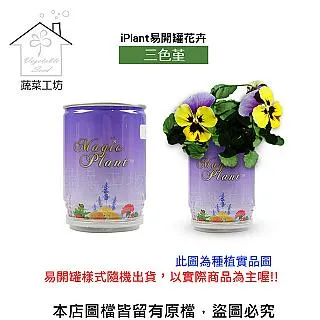 iPlant易開罐花卉-松葉牡丹 歷史價格詳細信息