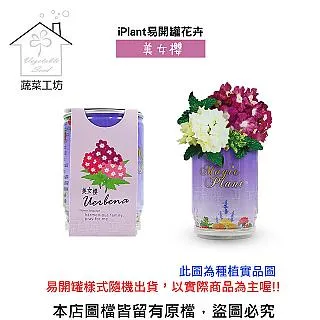 iPlant易開罐花卉-松葉牡丹 歷史價格詳細信息
