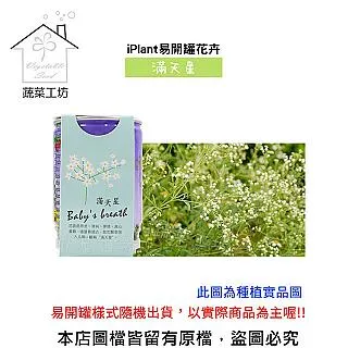 iPlant易開罐花卉-松葉牡丹 歷史價格詳細信息