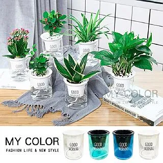 MY COLOR 透明矽膠防撞邊條 1米  保護條 保護邊條 L型 桌角防磕 兒童防護 【Q022-1】 歷史價格詳細信息