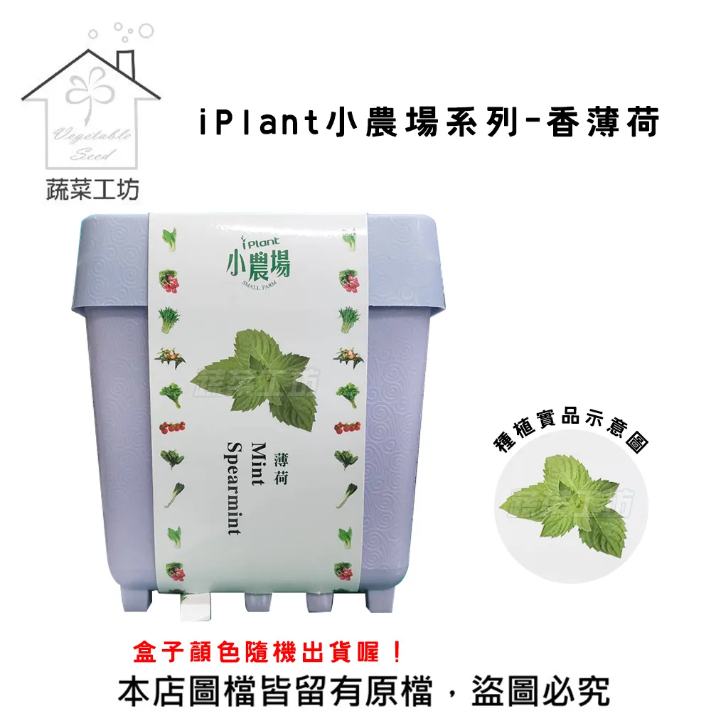 【蔬菜工坊】iPlant小農場系列-五彩辣椒 歷史價格詳細信息