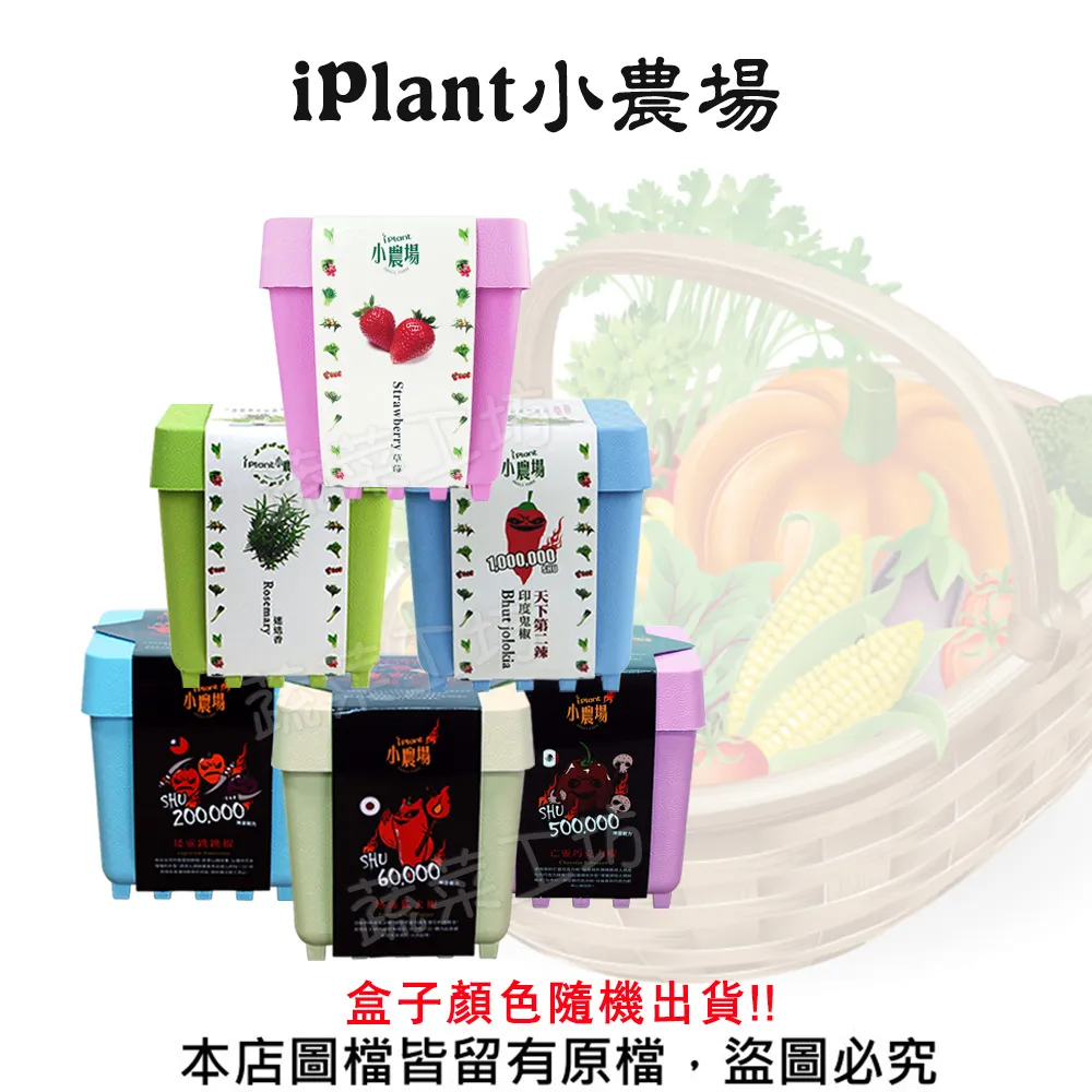 IPLANT小農場 DIY蔬果盆栽 積木植栽 花卉 / 蔬果 / 香料 療癒植栽 【久大文具】 歷史價格詳細信息