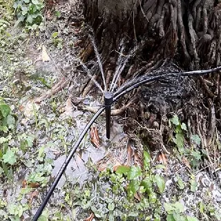 五孔可調滴頭16mm雙通接頭6個 歷史價格詳細信息