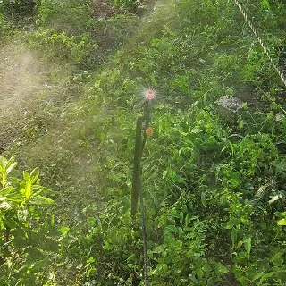 兩分360度噴灑POM材質50公分腳架6支 歷史價格詳細信息