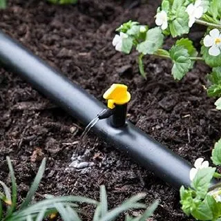 美國Raindrip穩壓滴灌(每小時7.6公升)10個 歷史價格詳細信息