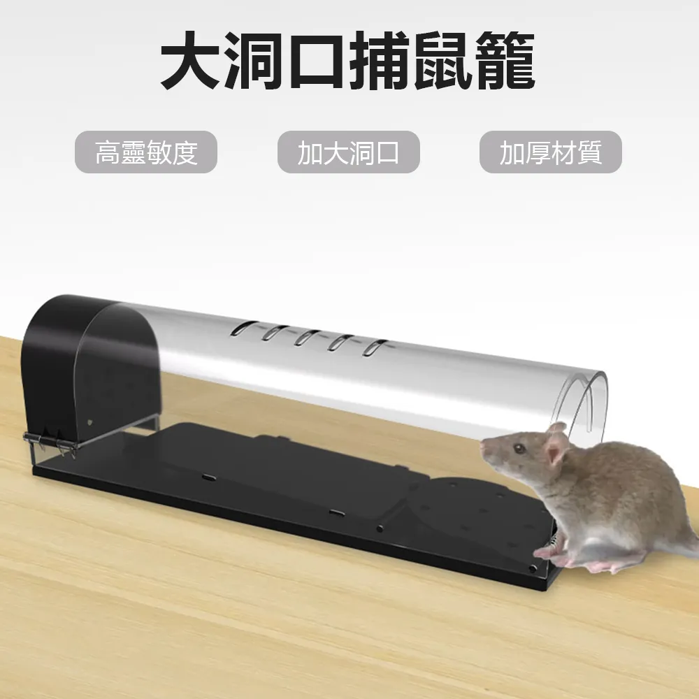 Sily 高清防水防霧鏡片泳鏡 男女成人游泳眼鏡 連體耳塞可調節護目鏡 歷史價格詳細信息