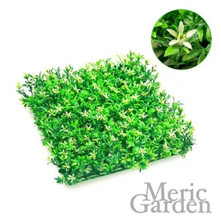 【Meric Garden】超仿真休閒武竹草草皮地(26*26*5CM)1入/組 歷史價格詳細信息