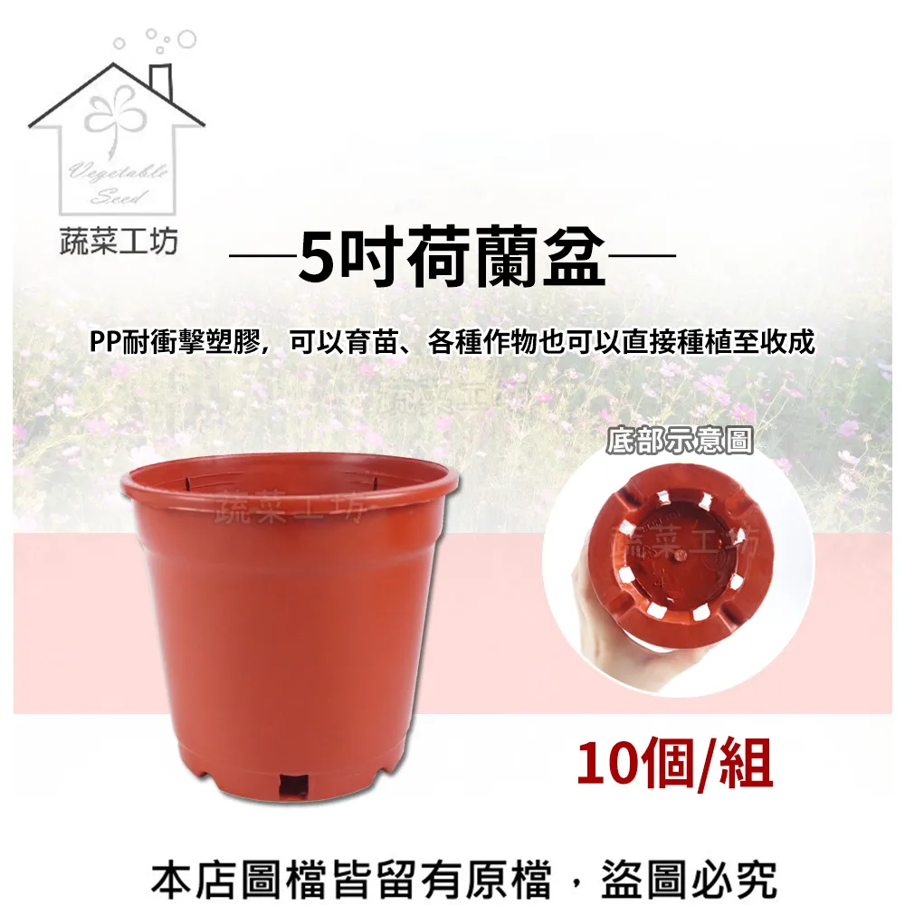 荷蘭盆(栽培盆) 2寸 3寸 11公分 13公分 14.5公分 16.7公分 紅盆 種植盆 花盆 塑膠花盆 蔬菜盆 歷史價格詳細信息