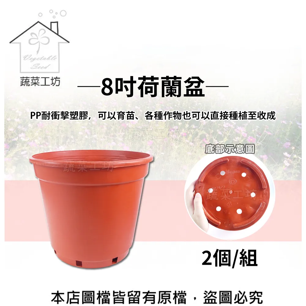 8吋荷蘭盆(栽培盆) 2個/組 歷史價格詳細信息