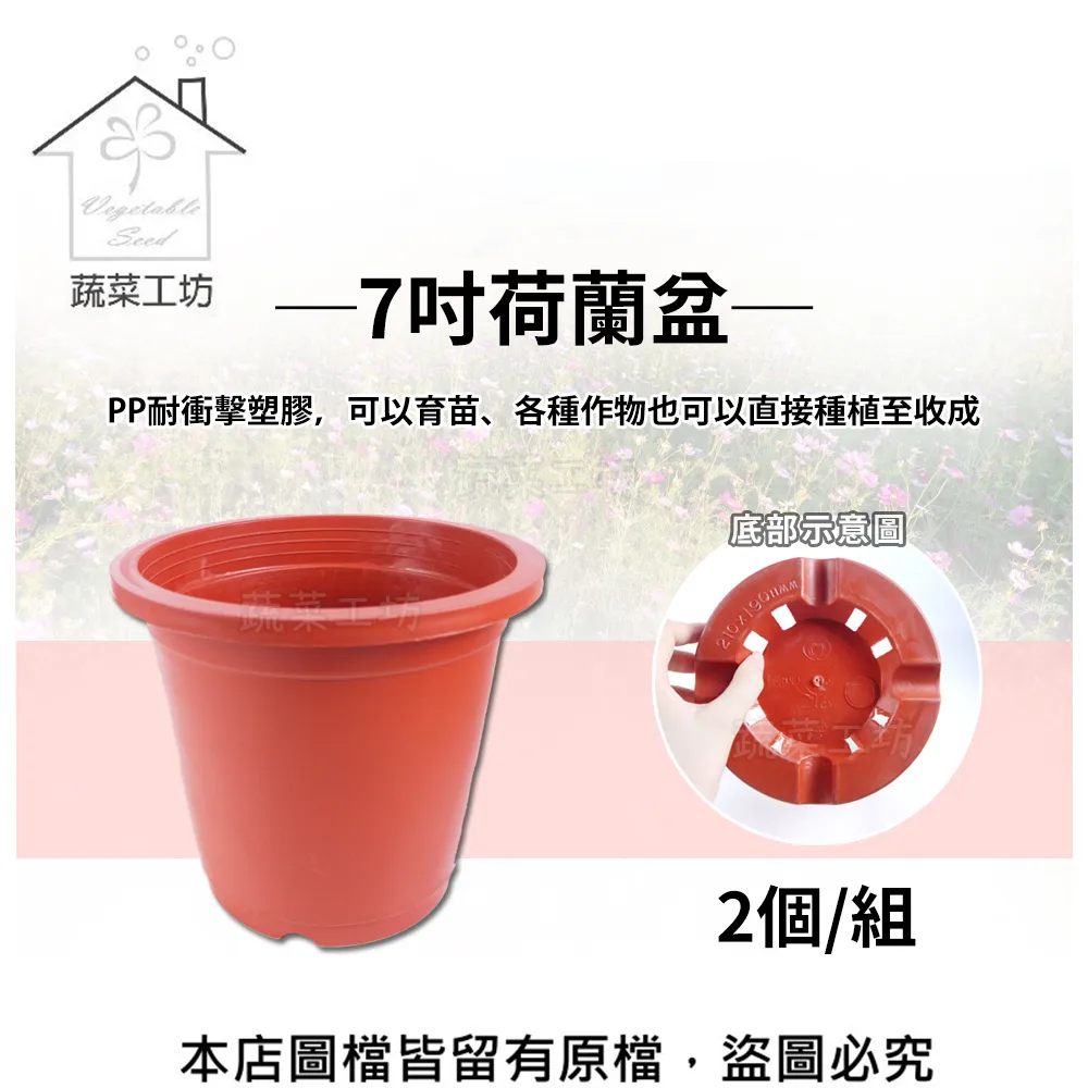 荷蘭盆(栽培盆) 2寸 3寸 11公分 13公分 14.5公分 16.7公分 紅盆 種植盆 花盆 塑膠花盆 蔬菜盆 歷史價格詳細信息