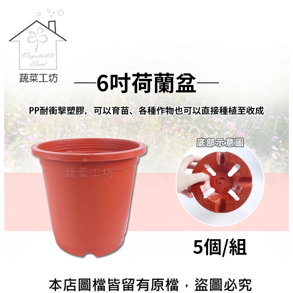 荷蘭盆(栽培盆) 2寸 3寸 11公分 13公分 14.5公分 16.7公分 紅盆 種植盆 花盆 塑膠花盆 蔬菜盆 歷史價格詳細信息