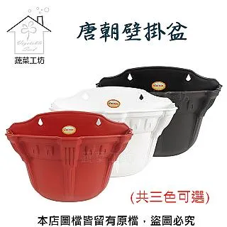 壁掛盆 花盆 自吸吊盆 垂掛盆 塑膠花盆 花盆 TRENY 花盆 園藝花盆 觀葉植物 自吸仿藤吊盆花 歷史價格詳細信息