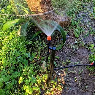 6分腳套(一組4個) 歷史價格詳細信息