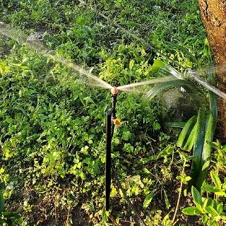 6分腳套(一組4個) 歷史價格詳細信息